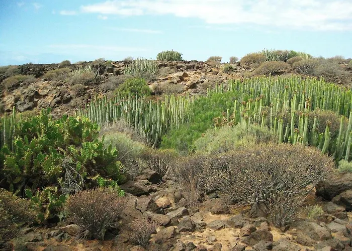 Sunny With Terrace Coastal Area South Daire *