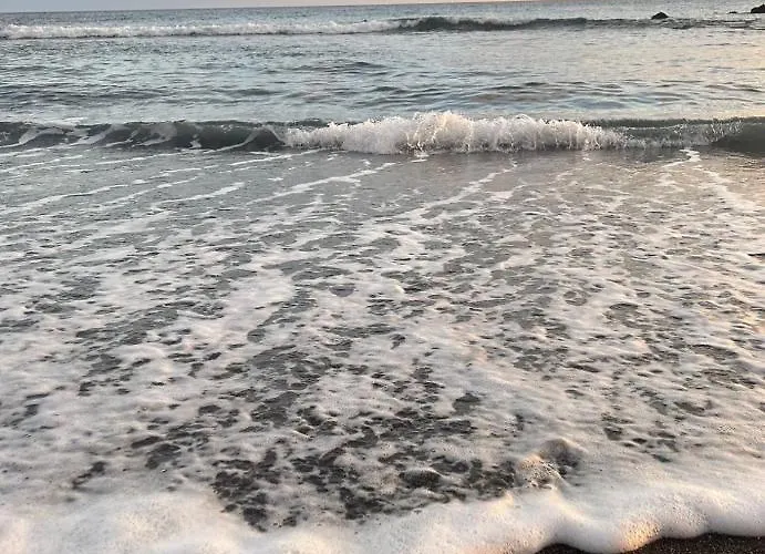 Sunny With Terrace Coastal Area South *