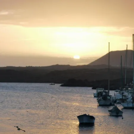 Sunny With Terrace Coastal Area South * Arona (Tenerife)