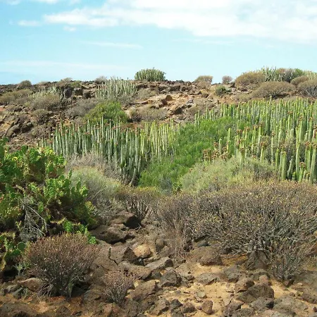 Sunny With Terrace Coastal Area South Apartament *