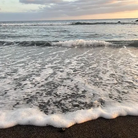 Sunny With Terrace Coastal Area South *